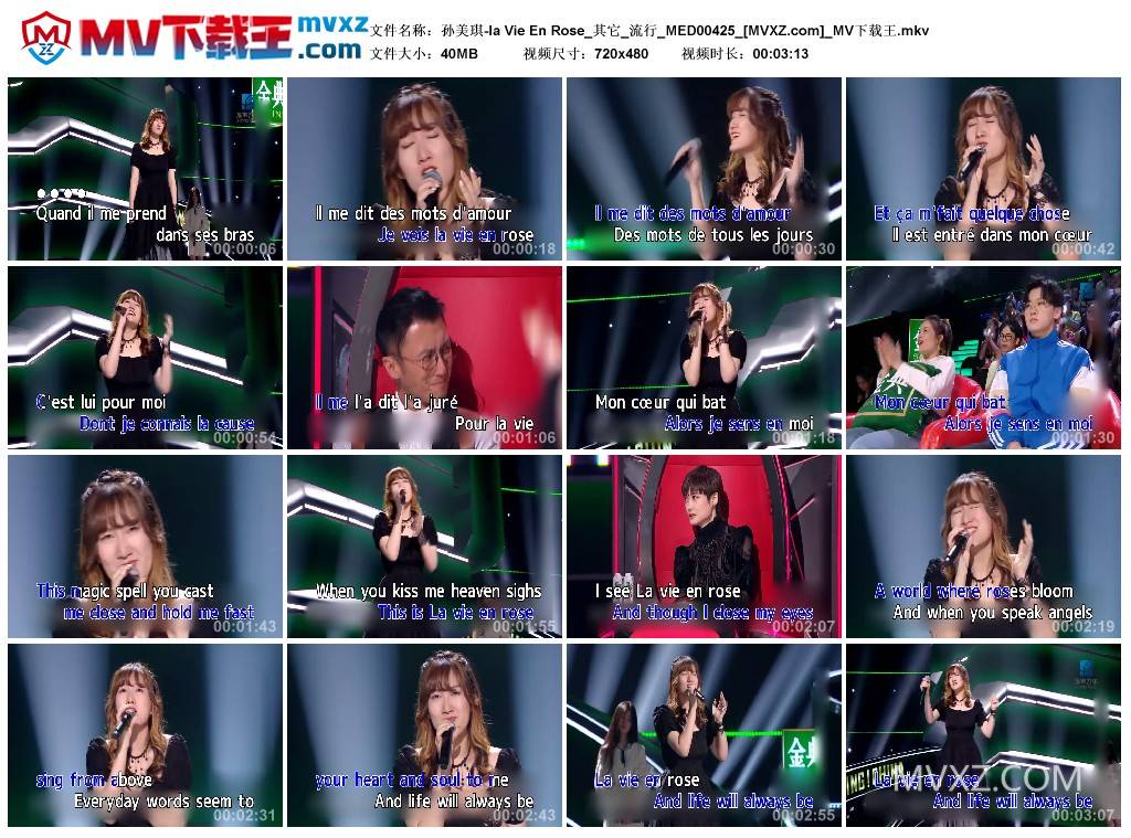 孙美琪-la Vie En Rose_其它_流行_MED00425